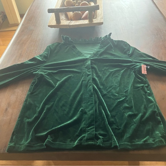 . Tops - Green Casual Womens Notched Neckline Velvet Tee